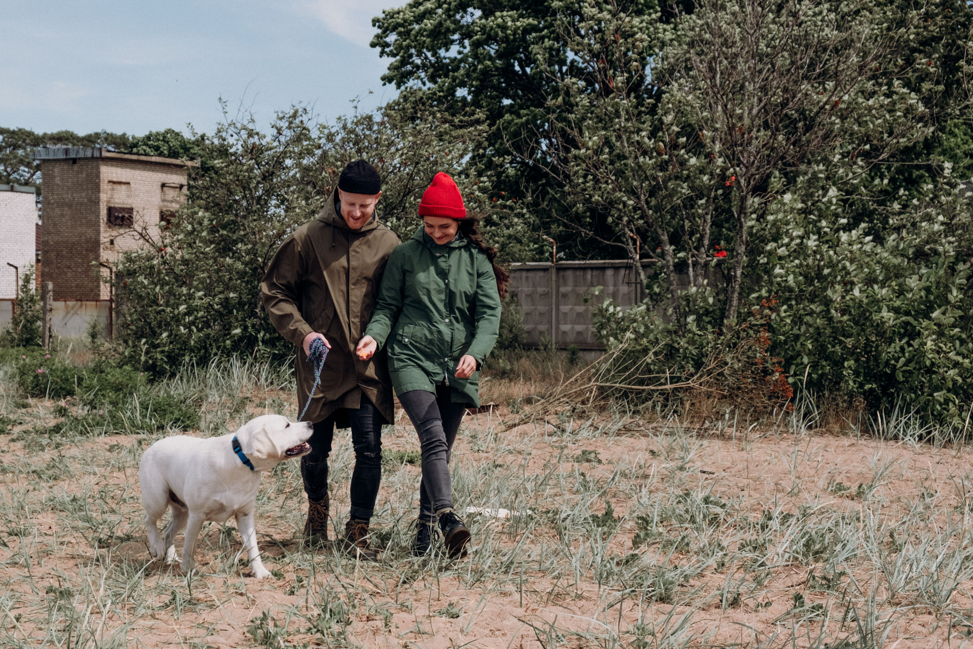Couple walking a dog outdoors together on a sunny day